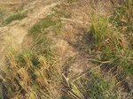 3329R0017368.JPG