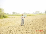 6546gt052-cropland-1.jpg