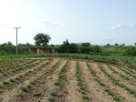18884P1000726.JPG