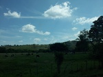 5822100_1473.JPG