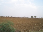 476301052008(29).JPG