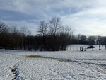 2017-02-27_10-35-50_P2191694.JPG