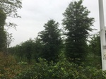2017-09-10_20-39-02_1C1B63DF-F8AC-423B-8BB7-01F9571B9F2A.jpg