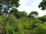 18333P1000169.JPG
