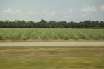 2022-05-26_15-09-54_163A2F11-DA61-40D3-B67F-51F8CD8514A0.jpeg