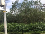 2017-09-12_11-01-19_EF485353-8E37-45CD-9815-42F754C97D32.jpg
