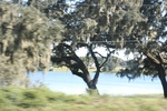 2018-04-30_12-12-38_2017-10-25 13.43.58.jpg