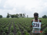 128500239a-rainfed-agriculture-mixedcrop-rice-cotton-sorghum.gif