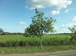 5783100_1380.JPG