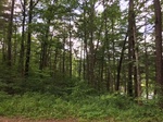 2017-07-03_14-24-25_E.JPG
