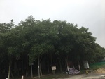 2017-09-10_20-38-49_FA479EDF-EC49-43CA-9C61-715C3CB97A3B.jpg
