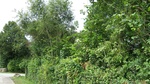2016-07-27_09-26-03_DSCF1849.JPG