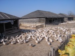439720071010gps 043.jpg