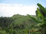 15846IMG_4387.JPG