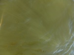 2012-09-21_14-26-14_CIMG0006.JPG