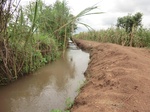 2012-09-07_10-20-00_CIMG6730.JPG