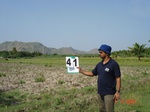 6244041a-irrigated-supplemental-groundwater-rice-sugarcane-plantation-doublecrop-coconut(plantation).jpg