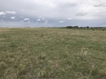 2017-05-27_13-15-31_AA7C58D3-D916-4005-9788-F8E55D950422.jpg