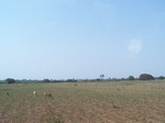 522626042008(26).JPG