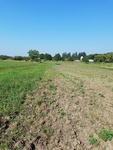 2017-09-25_08-49-19_West.jpg