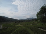 16299IMG_5072.JPG