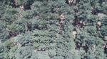 2017-06-12_13-57-37_DJI_0019.jpg
