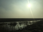 2018-01-08_09-59-07_6E66B0F6-8399-4579-A142-76F41AB9E52D.jpg