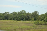 2022-05-26_12-49-10_46477D5F-8CF6-4D4B-A95D-4C430F2ADED9.jpeg