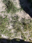 2016-08-08_05-51-03_IMG_20160719_113421.jpg