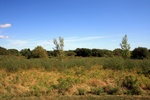 2012-09-23_20-07-27_RI-NW-5_East.JPG