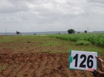 124640126b-irrigated-supplemental-groundwater-sunflower-doublecrop.gif
