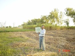 6477gt019-cropland-1.jpg