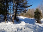 2017-02-24_11-46-00_Feb17-050-VT.jpg