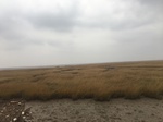 2018-01-08_09-58-55_082AC31B-0084-46E0-BFA7-78B9963082F0.jpg