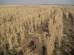8587IMG_0386.JPG