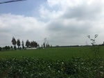 2017-09-12_12-57-37_D5050AEC-B278-4AF7-A414-7367EB294D6C.jpg