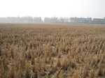 8433IMG_0258.JPG