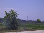 3567 135.jpg