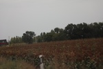 2019-10-15_12-34-08_4E8A2009.JPG