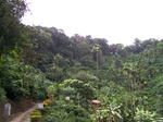 17492100_2747.JPG