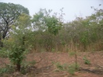 3983RIMG0287.JPG