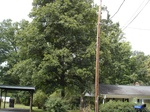 2012-10-11_22-34-53_NC-BK-4-2.JPG