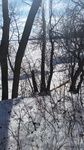 2017-02-17_13-59-53_20170216_135824.jpg