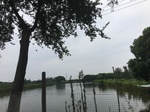 2017-09-12_10-47-57_C5BBB1A3-5280-42D8-B680-CFB2EC82F580.jpg