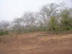 3945RIMG0249.JPG