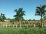 5795100_1398.JPG