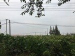 2017-09-12_13-35-47_6335B031-58B3-42C7-9548-A35D17C2A030.jpg