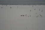 4158IMG_8795.JPG