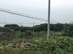 2017-09-10_08-39-57_8CF8D13D-3EE5-458C-AD4D-7F383FC8F776.jpg
