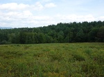 2018-09-03_13-29-33_DSC02354.jpg